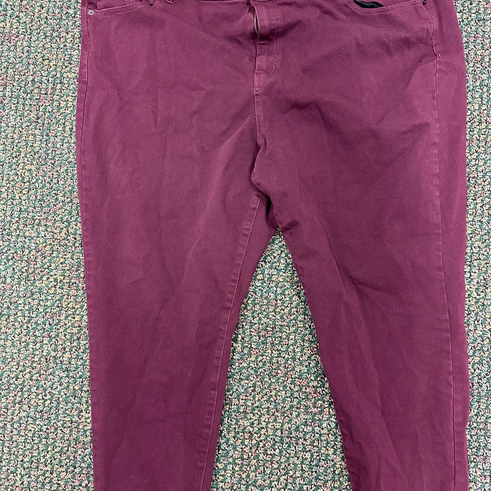 Lane Bryant Women's Deep Purple Skinny Jeans
